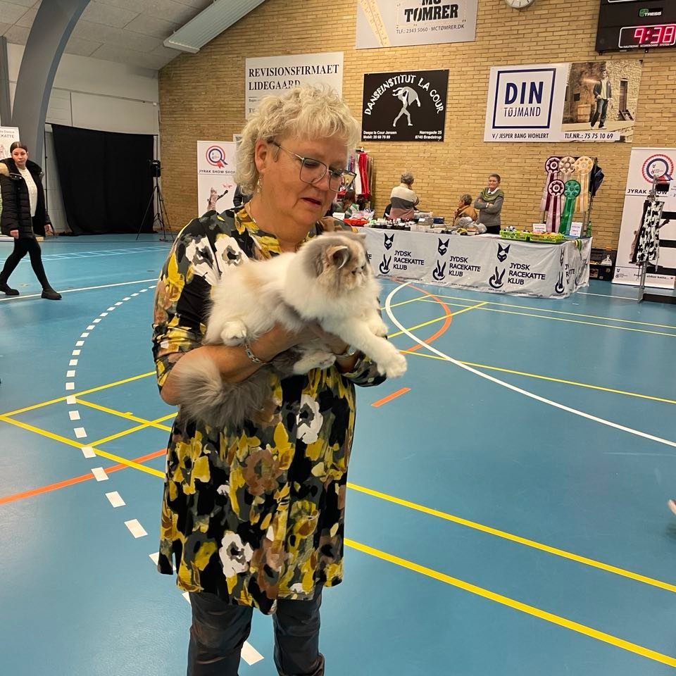 Elsa til norminering 2
