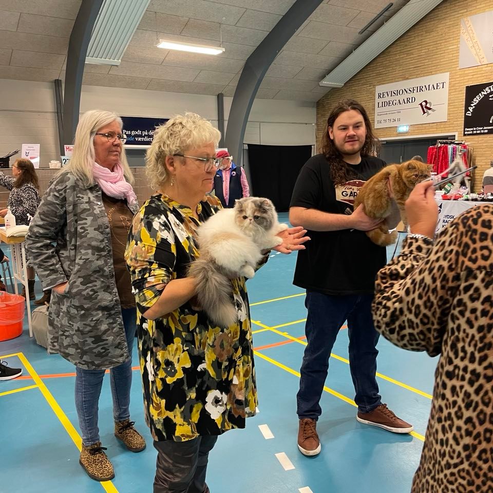Elsa til norminering