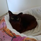 Joy of Living´s Mathilde